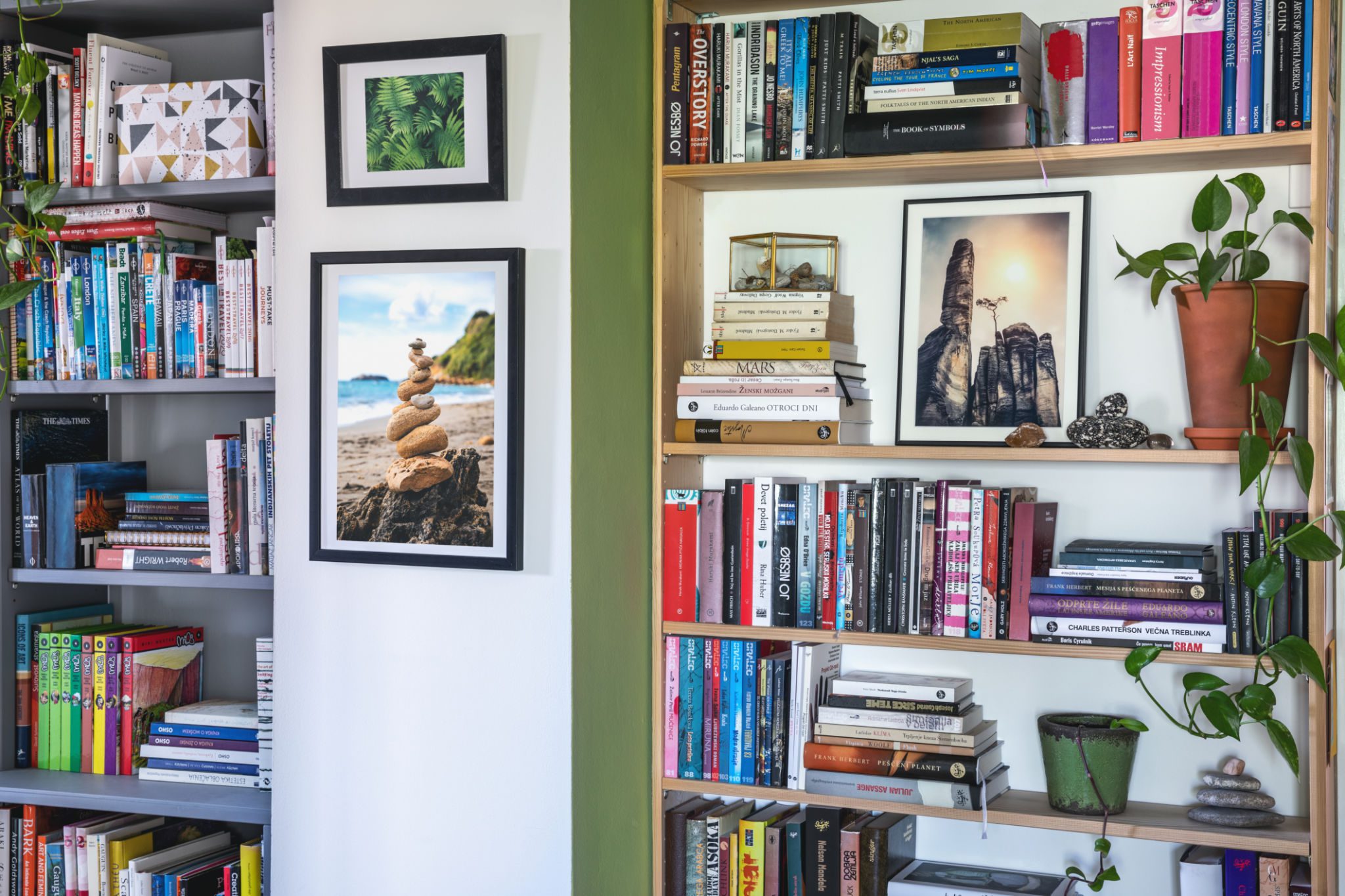 Bookshelves with framed art and plants